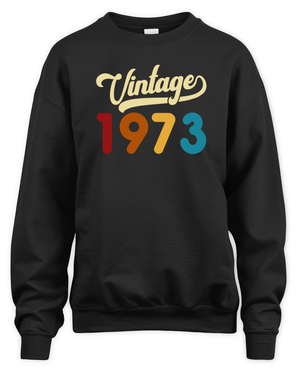 Vintage 1973 Limited Edition 48th Birthday Gift Unisex Premium Crewneck Sweatshirt