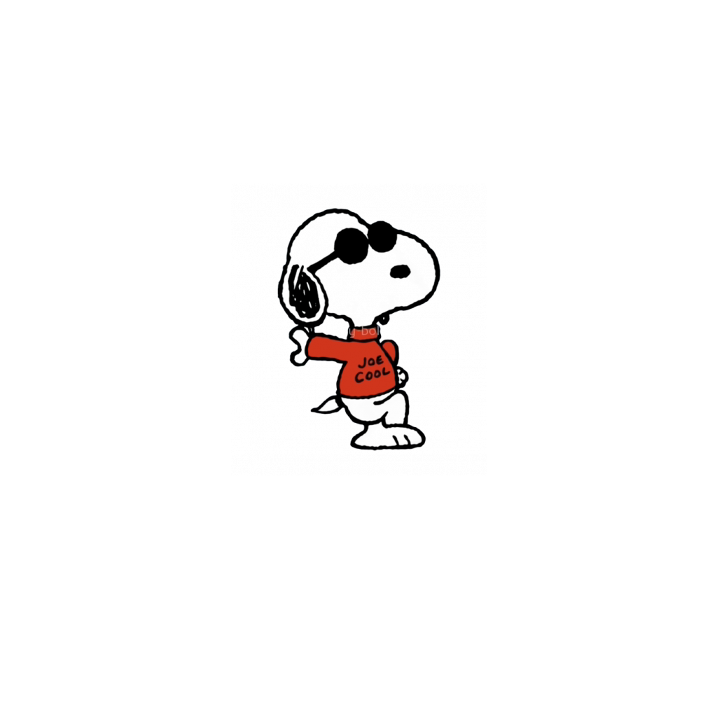 Snoopy Joe Cool T Shirt