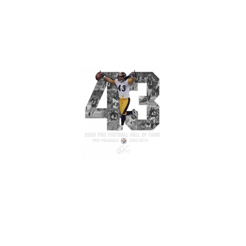 43 2020 pro football hall of fame Troy Polamalu 43 shirt, hoodie