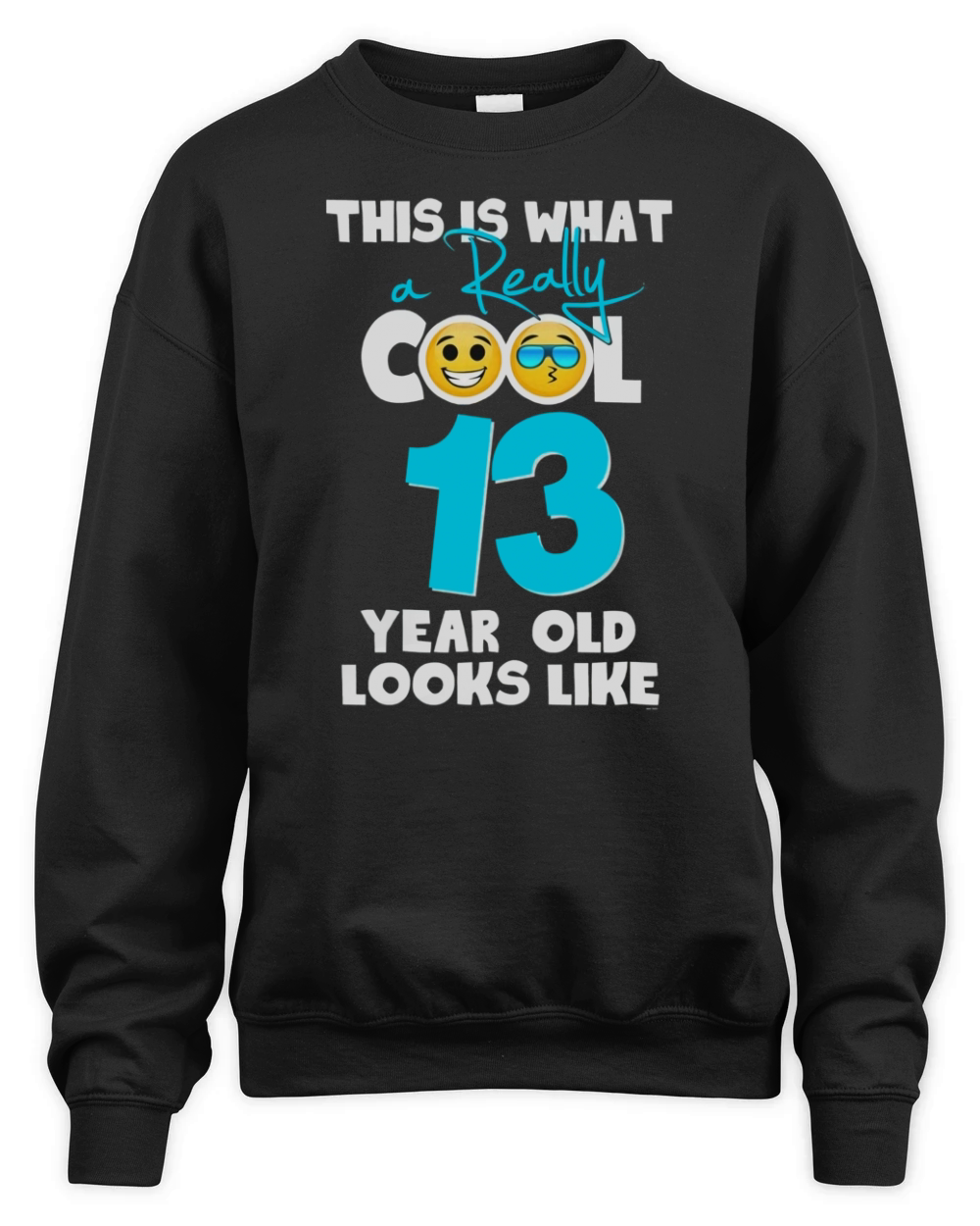 Emojicon birthday teenager gifts 13 year old boys t shirt Unisex Premium Crewneck Sweatshirt