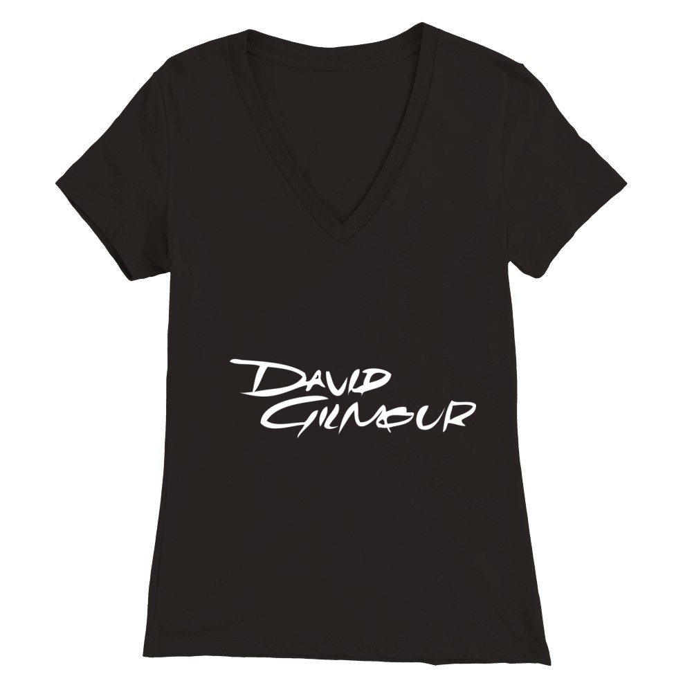 David Gilmour Logo Premium Womens V-Neck T-shirt