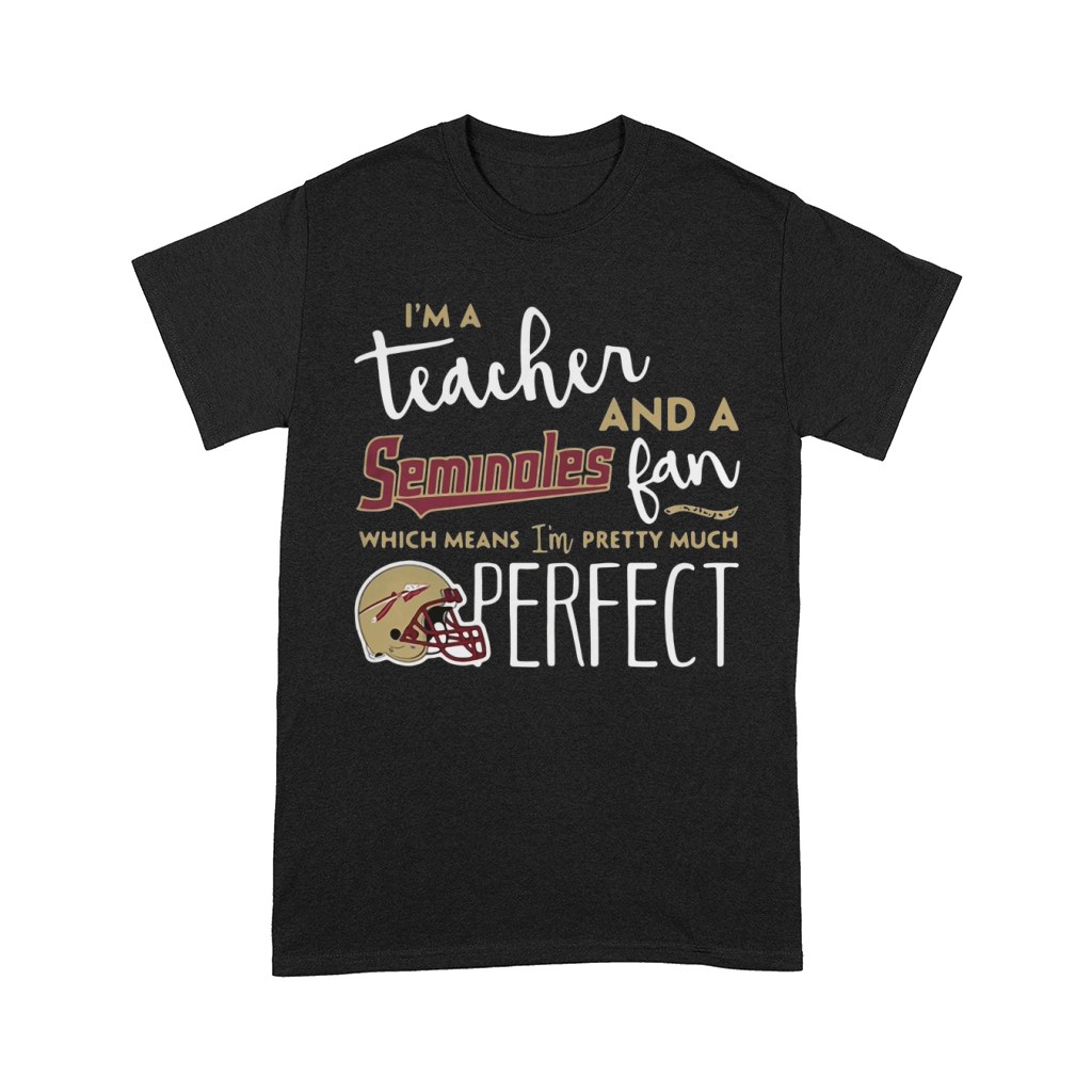I'm a teacher and a Seminoles fan which means I'm pretty much perfect Comfort T-shirt