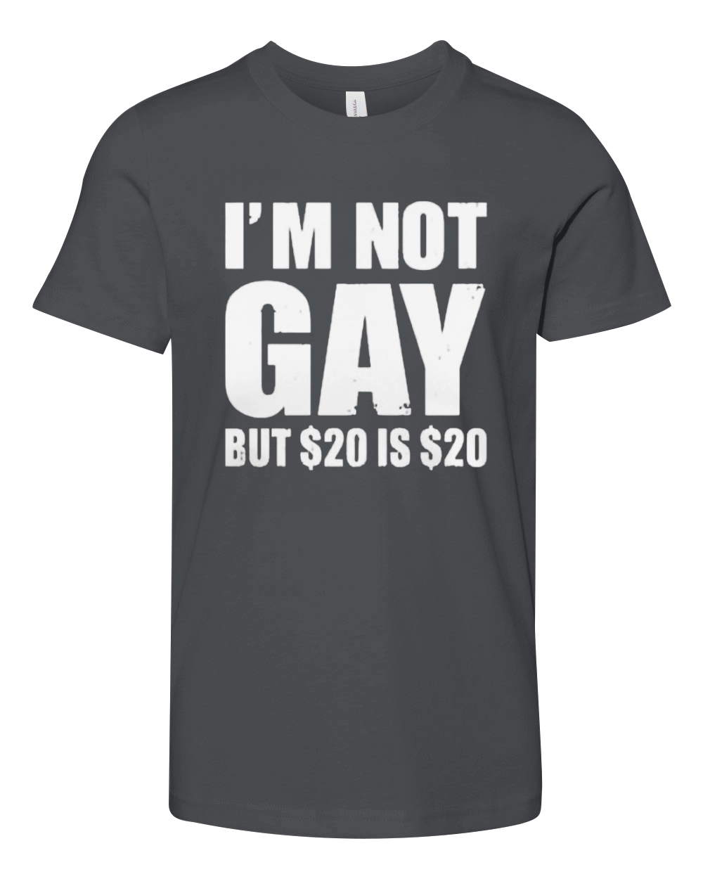 I'm Not Gay But 20 dollars Is 20 dollars Youth Unisex Jersey Tee