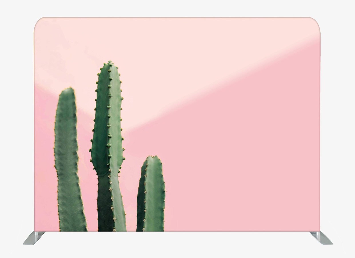 Desert Cactus