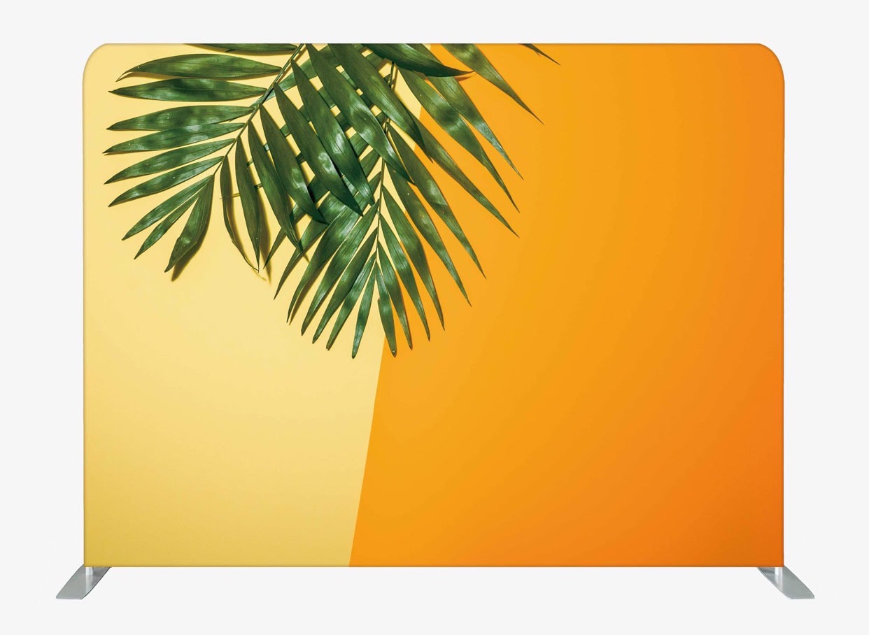 Desert Palm