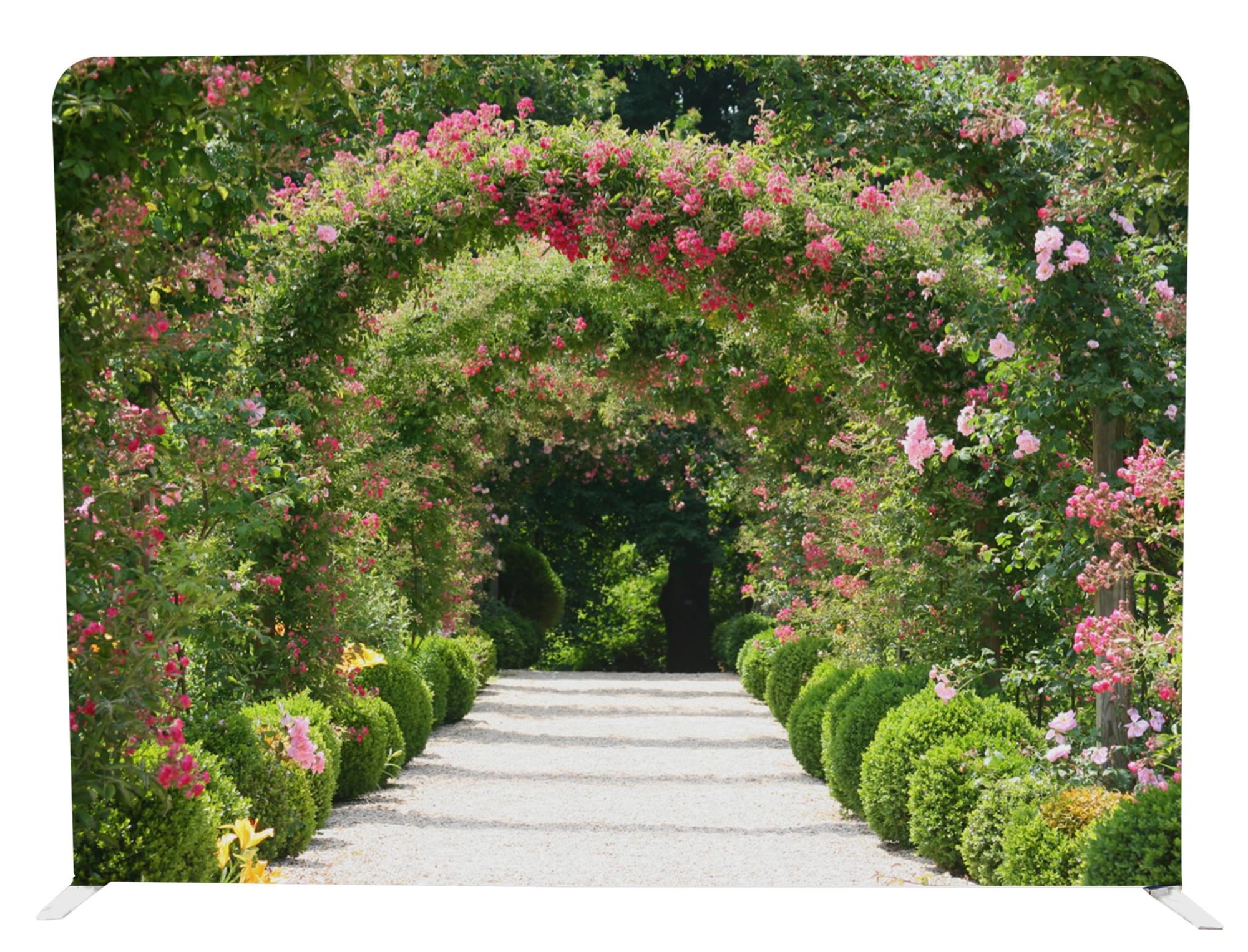 Rose Garden