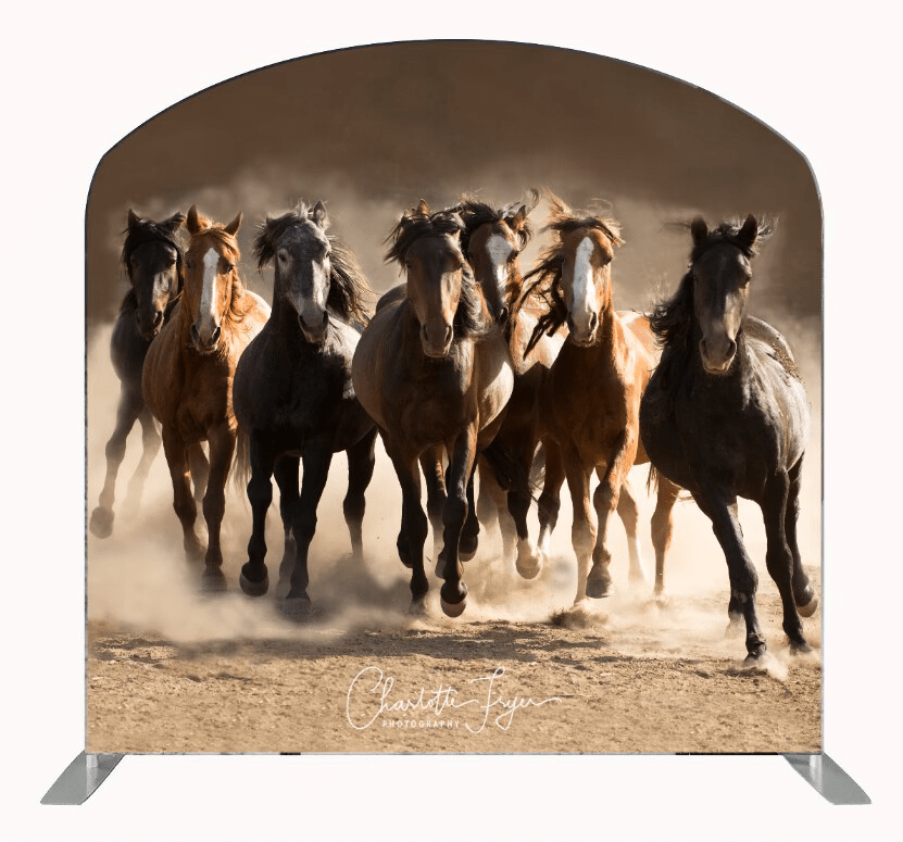 Wild Horses