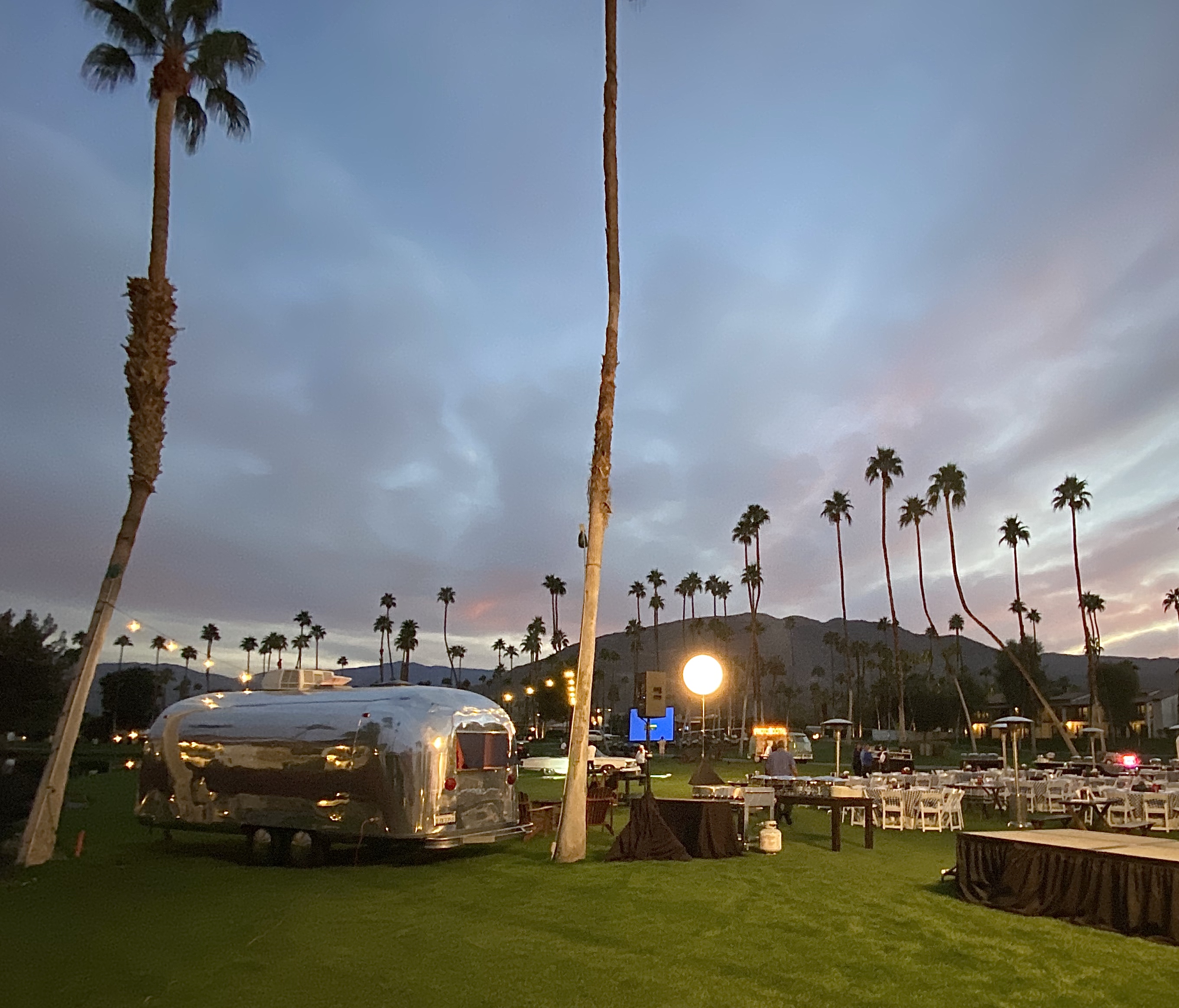 Dusk palms rear view