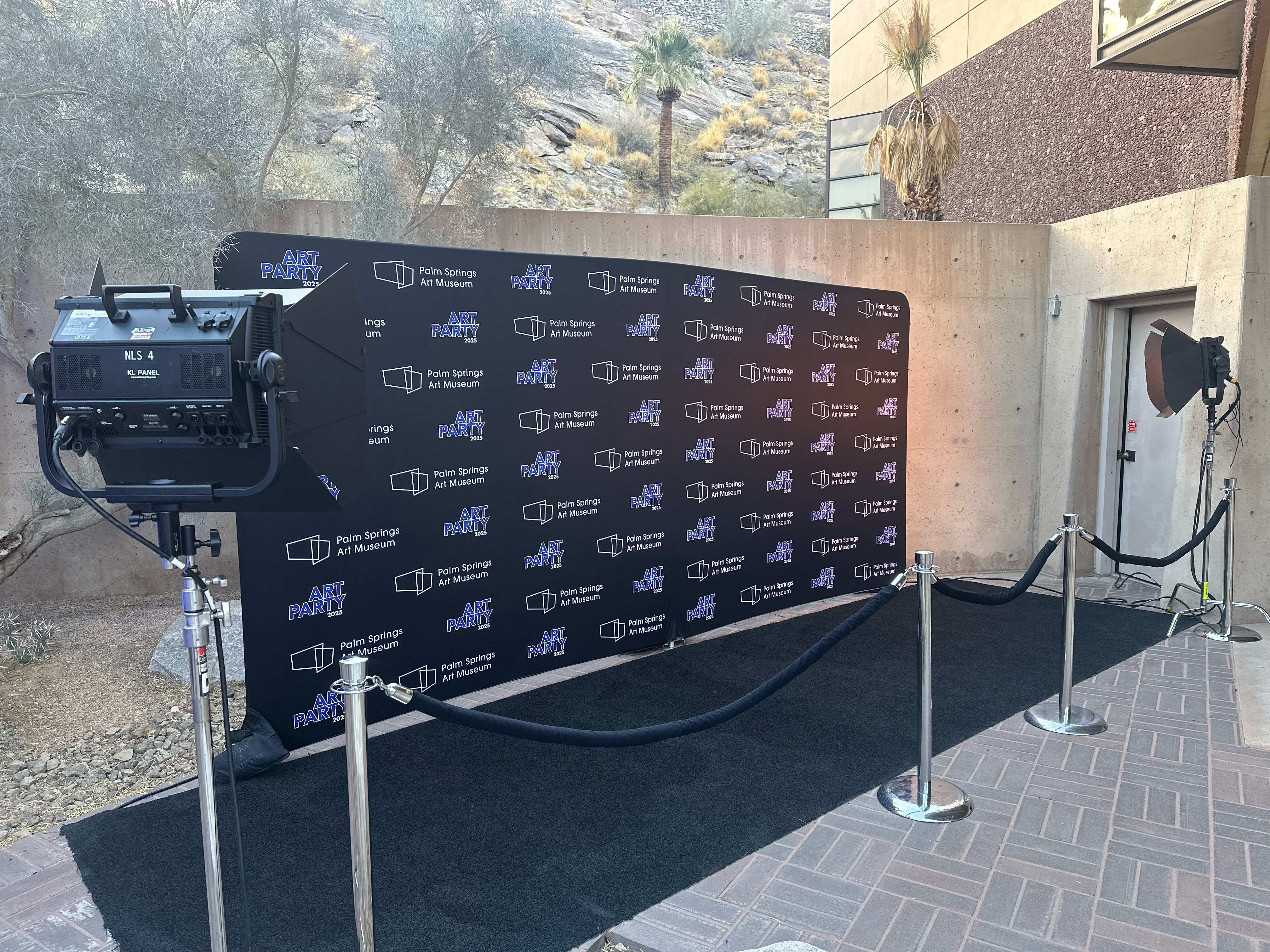 Art Party museum step and repeat