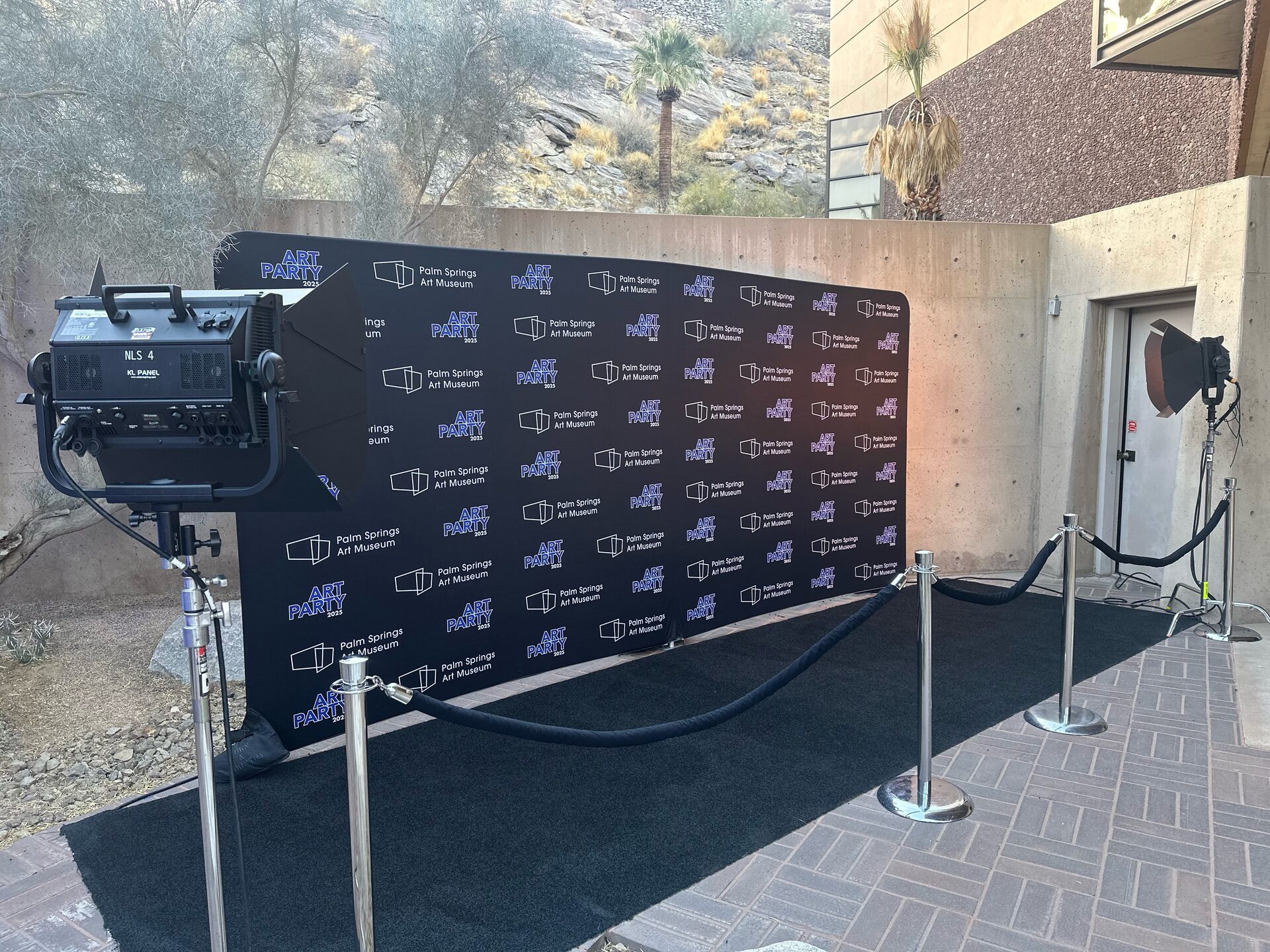 A branded step-and-repeat and red carpet with the San Jacinto mountains behind at the Palm Springs Art Museum Art Party