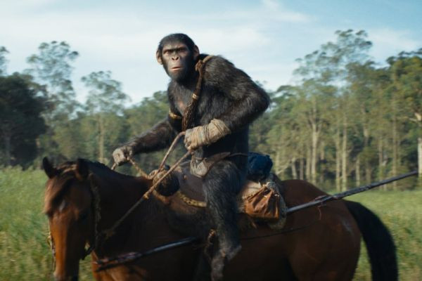 Kingdom of the Planet of the Apes