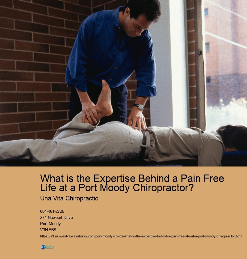 What is the Expertise Behind a Pain Free Life at a Port Moody Chiropractor?  