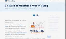 
							         33 Proven Ways To Monetize a Website (or a Blog) - websitesetup.org								  
							    