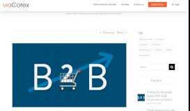
							         4 Ways to Increase Sales With B2B eCommerce Portal | ViaCorex								  
							    