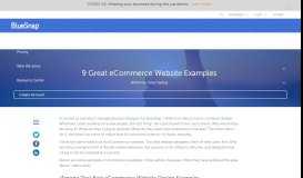 
							         9 Great ECommerce Website Examples - BlueSnap								  
							    