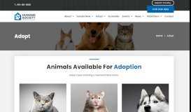 
							         Adopt | Humane Society London & Middlesex								  
							    