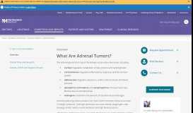 
							         Adrenal Tumors | Northwestern Medicine								  
							    
