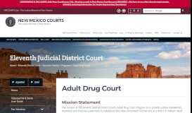
							         Adult Drug Court - Eleventh Judicial District Court - NM Courts Home								  
							    