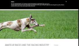 
							         AMATEUR RACES AND THE RACING INDUSTRY | Pet Levrieri Onlus ...								  
							    