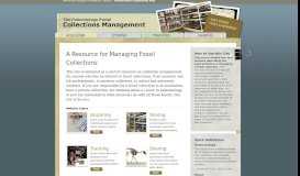 
							         American Museum of Natural History – The Paleontology Portal | Home								  
							    