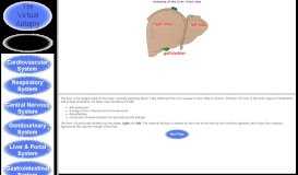 
							         Anatomy and Physiology of Hepatic Portal System Tutorial								  
							    