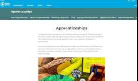 
							         Apprenticeships - - CareersPortal.ie								  
							    