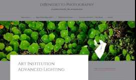 
							         Art Institution Advanced Lighting – diBenedetto Photography								  
							    