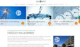 
							         AVU Netz GmbH : AVU Netz								  
							    