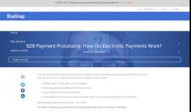 
							         B2B Payment Processing: How Do Electronic Payments Work?								  
							    