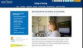 
							         Bachelor of Science in Nursing - Kent State University								  
							    