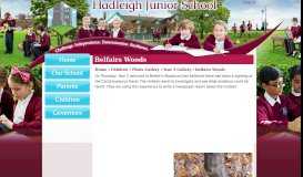
							         Belfairs Woods | Hadleigh Junior School								  
							    