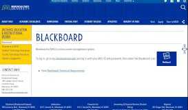 
							         Blackboard - Morehead State University								  
							    