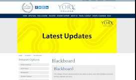 
							         Blackboard - York College								  
							    