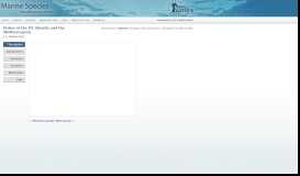 
							         Blackfin sorcerer - Nettastoma ... - Marine Species Identification Portal								  
							    