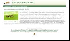 
							         BLAST | Ant Genomes Portal - Hymenoptera Genome Database								  
							    