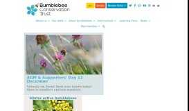 
							         Bumblebee Conservation Trust								  
							    
