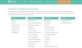 
							         Business Intelligence Solutions, Enterprise Business Intelligence								  
							    