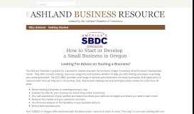 
							         Business Plan - Ashland Business Resource Portal								  
							    