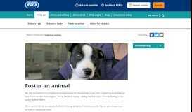 
							         Can you help temporarily foster an animal? | RSPCA								  
							    