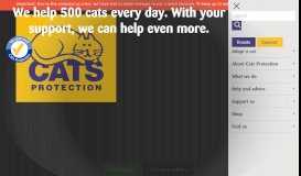 
							         Cats Protection - UK's Largest Feline Welfare Charity								  
							    