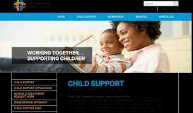 
							         Child Support in Marion County Ohio								  
							    