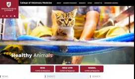 
							         College of Veterinary Medicine | Washington State University								  
							    