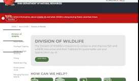 
							         COMMON SPIDERS OF OHIO fieldguide - (ODNR) Division of Wildlife								  
							    