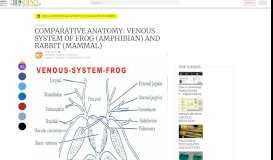 
							         COMPARATIVE ANATOMY: VENOUS SYSTEM OF FROG ...								  
							    