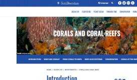 
							         Corals and Coral Reefs | Smithsonian Ocean								  
							    