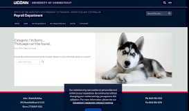 
							         Core-CT Access | Payroll Department - UConn Payroll - University of ...								  
							    