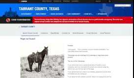 
							         Criminal Courts Administration - Tarrant County, Texas								  
							    