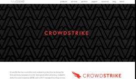 
							         Crowdstrike — Cosive								  
							    