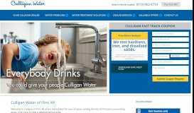 
							         Culligan Water Flint l In-Home Water Test & Analysis								  
							    