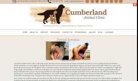 
							         Cumberland Animal Clinic, Cumberland, Maine / Dentistry								  
							    